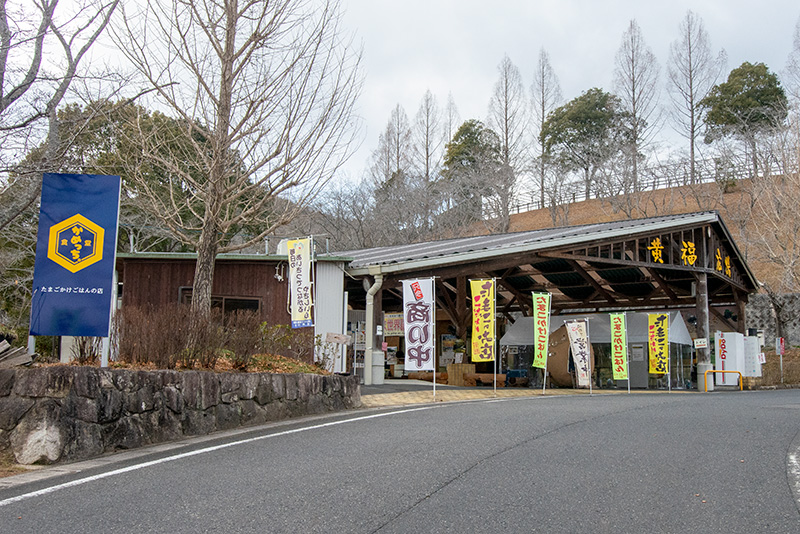 食堂かめっち。