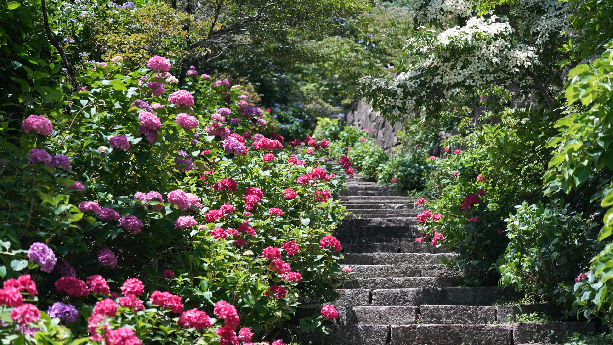 きんちゃい久米郡美咲花山園 - きんちゃい久米郡